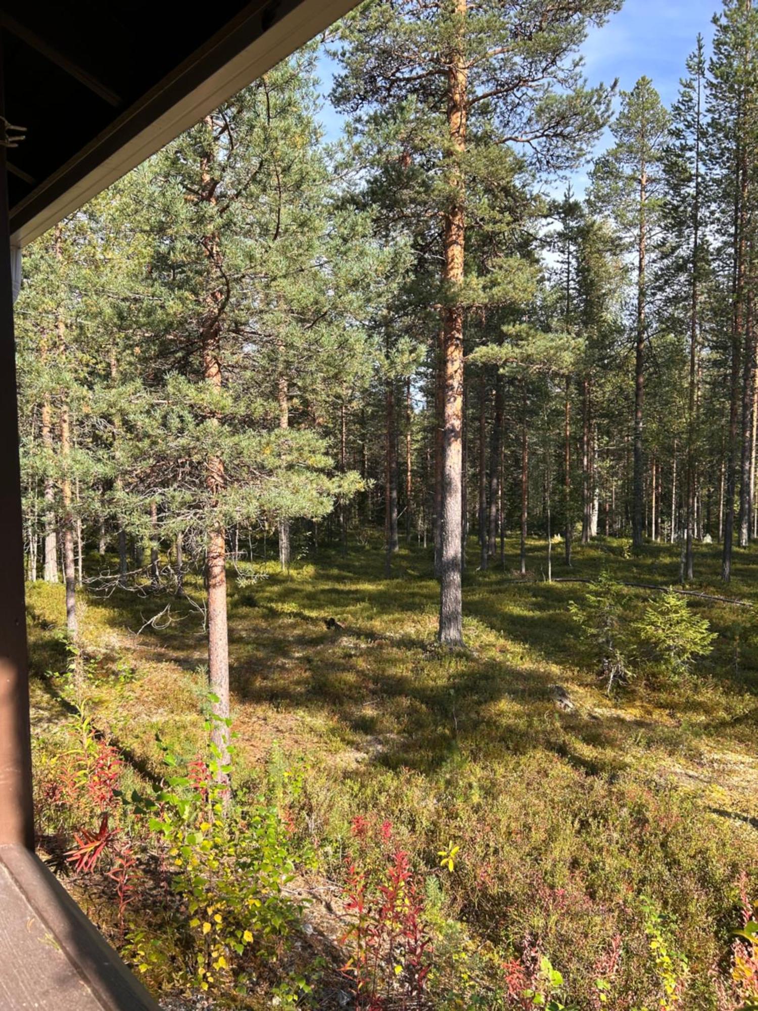 Unelmasaeleikkoe 2 Kittilä Exterior foto